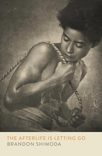 The Afterlife is Letting Go (Paperback)