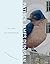 City Bird and Other Poems by Patrick James Dunagan