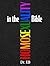 Homosexuality in the Bible: Verse-by-Verse Exposition of the "Gay Verses"