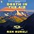 Death in the Air: A Novel