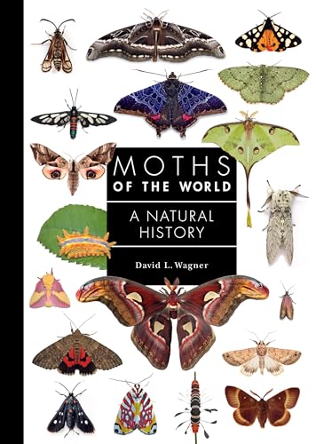 Moths of the World: A Natural History (A Guide to Every Family)