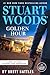 Stuart Woods' Golden Hour (A Teddy Fay Novel)