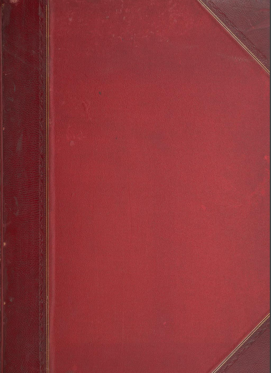 Natatores (Birds of Europe, #5)