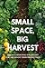 Small Space, Big Harvest: U...