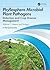 Phyllosphere Microbial Plant Pathogens: Detection and Crop Disease Management
