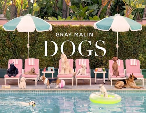 Gray Malin: Dogs: Photographs (Hardcover)