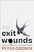 Exit Wounds by Peter Godwin