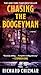 Chasing the Boogeyman: A Novel