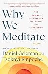 Why We Meditate: ...
