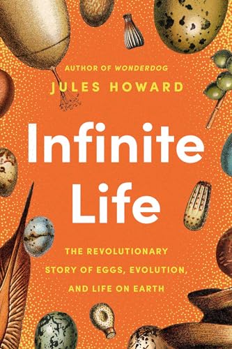 Infinite Life: The Revolutionary Story of Eggs, Evolution, and Life on Earth (Hardcover)