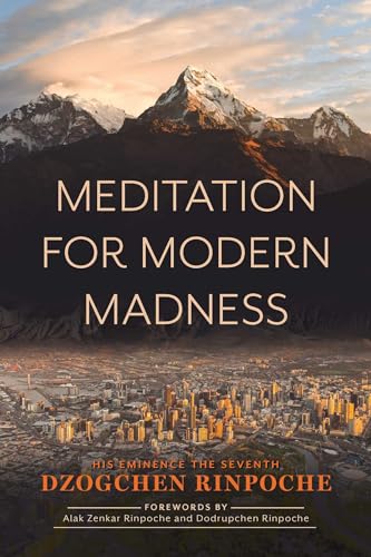 Meditation for Modern Madness (Paperback)