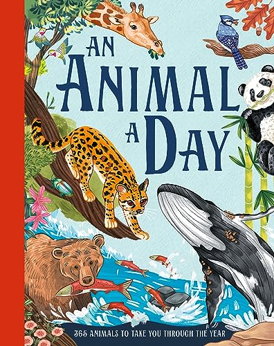 Farshore An Animal a Day. (Hardcover)