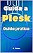 Guida a Plesk : Guida pratica