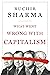 What Went Wrong with Capitalism