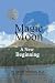 A New Beginning (Magic Moon #4)