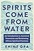 Book cover for Spirits Come from Water: An Introduction to Ancestral Veneration and Reclaiming African Spiritual Practices