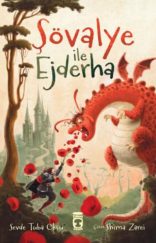 Şövalye ile Ejderha (Paperback)