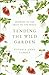 Tending the Wild Garden: Growing in the Fruit of the Spirit