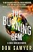 The Burning Gem by Don Sawyer