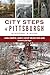 City Steps of Pittsburgh by Laura Zurowski