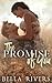 The Promise of You (Emerald Creek, #2)