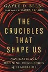 The Crucibles That Shape Us: Navigating the Defining Challenges of Leadership