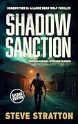 Shadow Sanction: 2nd Edition