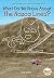 What Do We Know About the Nazca Lines? (What Do We Know About?)