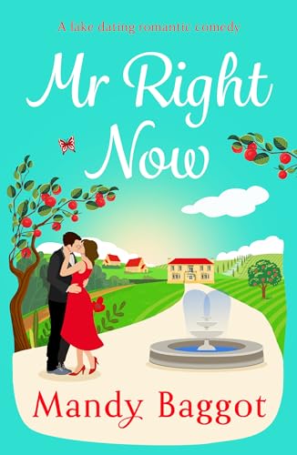 Mr Right Now (Kindle Edition)