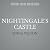 Nightingale's Castle: A Novel of Erzsébet Báthory, the Blood Countess