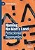 Naming No Man’s Land: Postcolonial Toponymies (Palgrave Studies in Creativity and Culture)