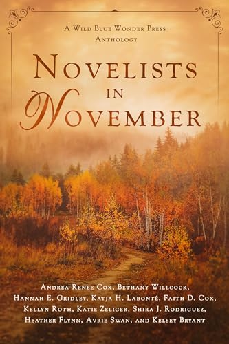 Novelists in November: A Wild Blue Wonder Press Anthology (Kindle Edition)