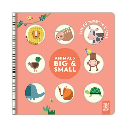 Animals Big & Small: Over 60 Animals to Discover (Happy Fox Books) Lions, Monkeys, Cows, Dogs, Whales, and More, for Preschoolers and Toddlers - Sturdy, Educational Board Book with Safe Rounded Edges