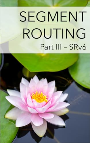 Segment Routing Part III: SRv6 (Kindle Edition)