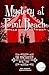 The Ringmaster (Mystery at Point Beach)