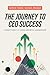 The Journey to CEO Success:...