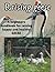 Raising Geese : A beginners...