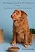 Tail- Wagging Treats by Emily Reynolds
