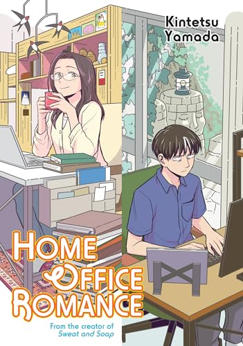 Home Office Romance (Paperback)