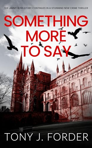 Something More to Say (DI Bliss, #12)