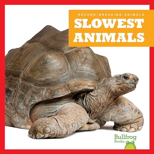 Slowest Animals (Record-Breaking Animals)