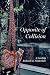 Opposite of Collision by Richard M Timberlake