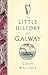 The Little History of Galway
