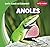 Anoles