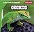 Geckos (Let's Look at Lizards!)