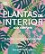 Plantas de interior (Planta...