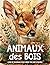 Animaux des Bois Livres De ...