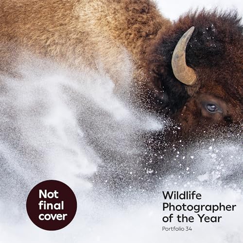 Wildlife Photographer of the Year: Portfolio 34 (34)