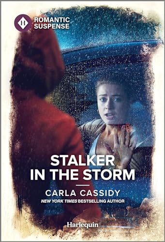 Stalker in the Storm (The Scarecrow Murders #4)