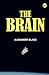The Brain
